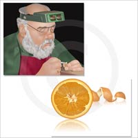 Graphic Illustrator